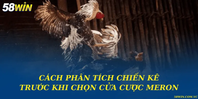 Cách phân tích chiến kê trước khi chọn cửa cược Meron