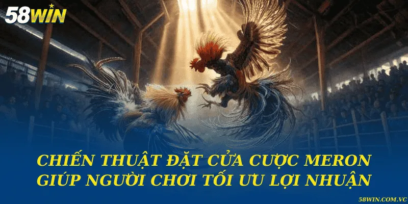 Chiến thuật đặt cửa cược Meron giúp người chơi tối ưu lợi nhuận