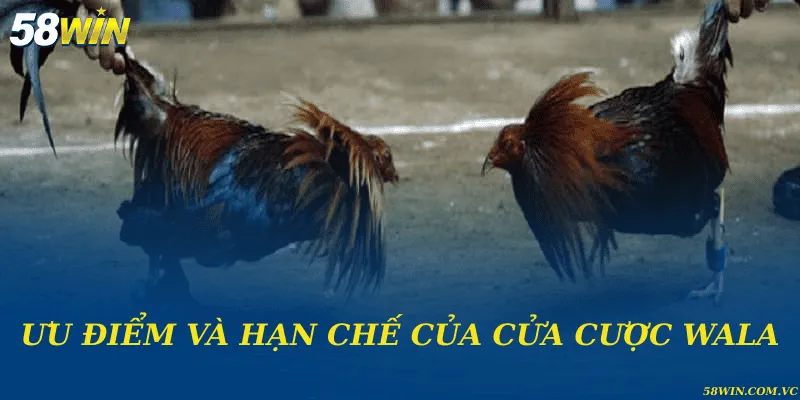 Ưu điểm và hạn chế của cửa cược Wala